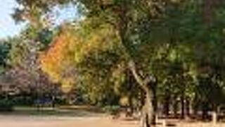 豊橋市中心部の広い公園