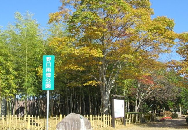 野口雨情の故郷なのよ