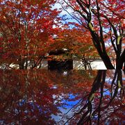 写真映えする紅葉