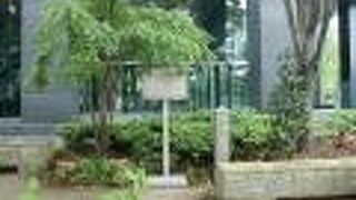 家臣団がいないのに広大な敷地だったそうです