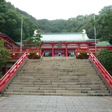 参道脇に狛犬から拝殿へ向かう