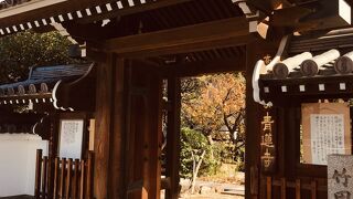 竹田出雲の墓（青蓮寺）