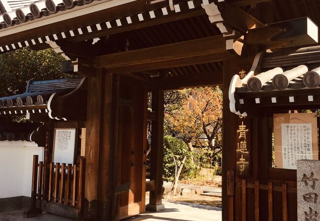 竹田出雲の墓（青蓮寺）