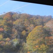 ロープウェイから谷川山系の斜面を彩る紅葉を観賞しました！