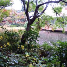 庭園⑤