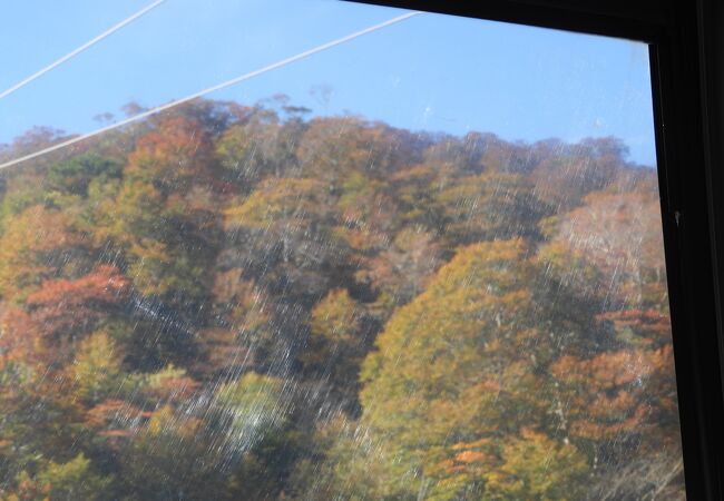 ロープウェイから谷川山系の斜面を彩る紅葉を観賞しました！