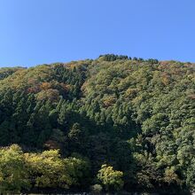 川の向こうに行かないと、アプリのスタンプを押せないようです。