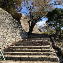 階段、登ります