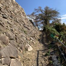 階段なくなっても、登ります。