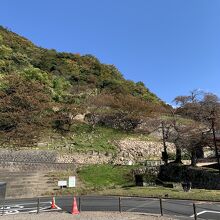 全体はこんな感じです。