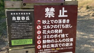 とにかく砂。鳥取砂丘