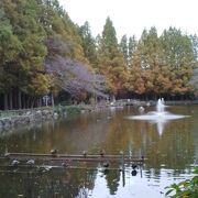 秋は大きな池に映りこむ紅葉が見事でした