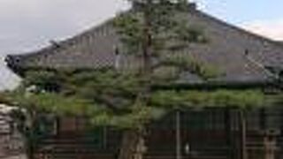 山門の先にある、松が立派でした