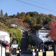 紅葉が綺麗な山でした。