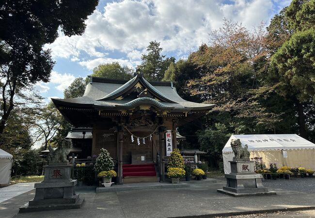 諏訪神社 (大和市)