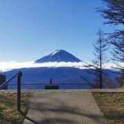 富士山と河口湖の絶景