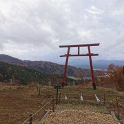 天気が良ければ鳥居越しに富士山が拝めます