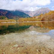 落葉松の紅葉が水面に映る