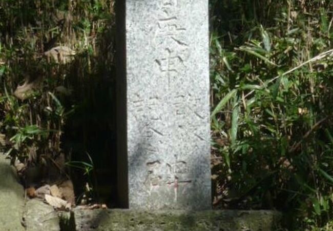 百庚申は、和光市の吹上観音(東明寺)の北側にあります。１５０基を超える庚申塔が置かれています。