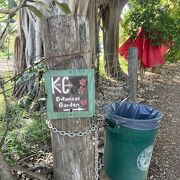 無料の植物園