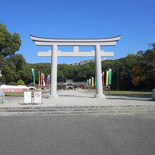 福岡県護国神社の鳥居と拝殿です。
