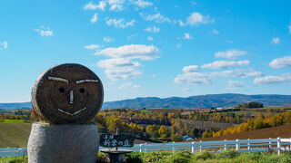 美瑛の丘を見渡せる絶好のスポット