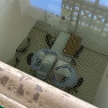 検品している様子を上から覗けます