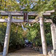 伊居太神社