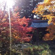 紅葉が美しい