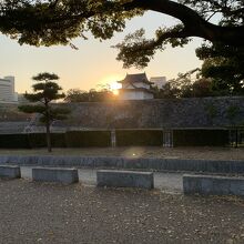 園内からみる大阪城