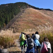 曽爾高原の遊歩道