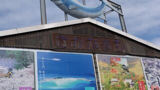 カニだらけの市場