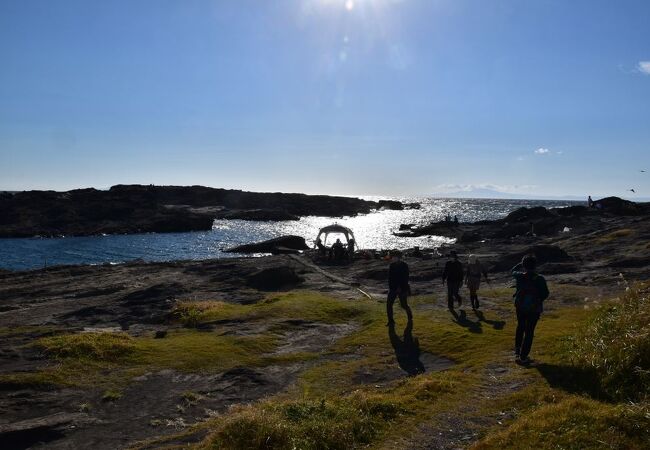 城ケ島灯台を仰ぎ見るような場所にある公園。岩場が広がり、海と空の景色を楽しめた