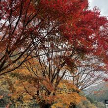 雙津峡温泉