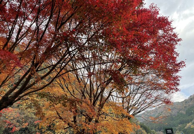 雙津峡温泉