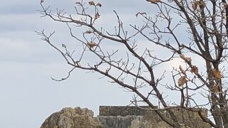 見晴らしがいい