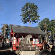 鳥居から入るには注意