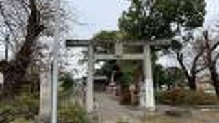 八幡神社 飯能市八幡町)