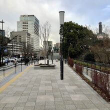 これが公園なのか？頭が認識してくれない