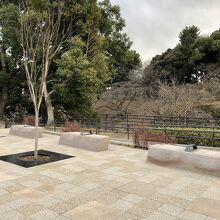 座り放題だけど素通りする人がほとんど　お花見で座れたら幸運