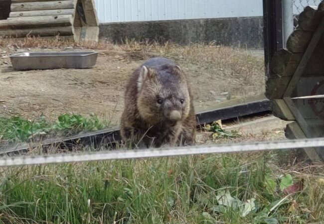 近畿地方の動物園 クチコミ人気ランキングtop フォートラベル