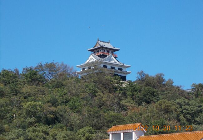 城山公園(川之江城址)　朝の冷え込みで天守閣がくっきりと！！