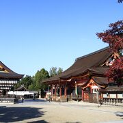 八坂神社の紅葉