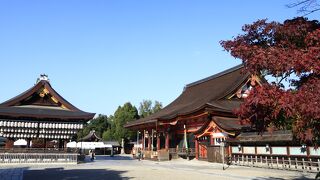 八坂神社の紅葉