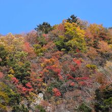 美しい彩りの香落渓の紅葉