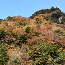 もみじ谷の紅葉