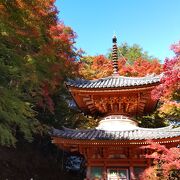 大阪の紅葉名所の一つになるべきです