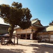 神社多数