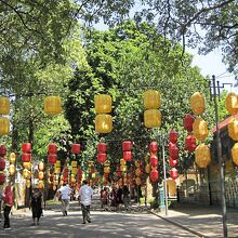 ランタンが美しい