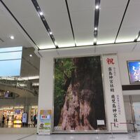 ダイワロイネットホテル 鹿児島天文館